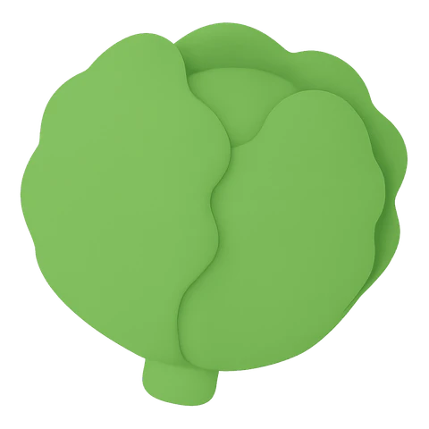 Lettuce